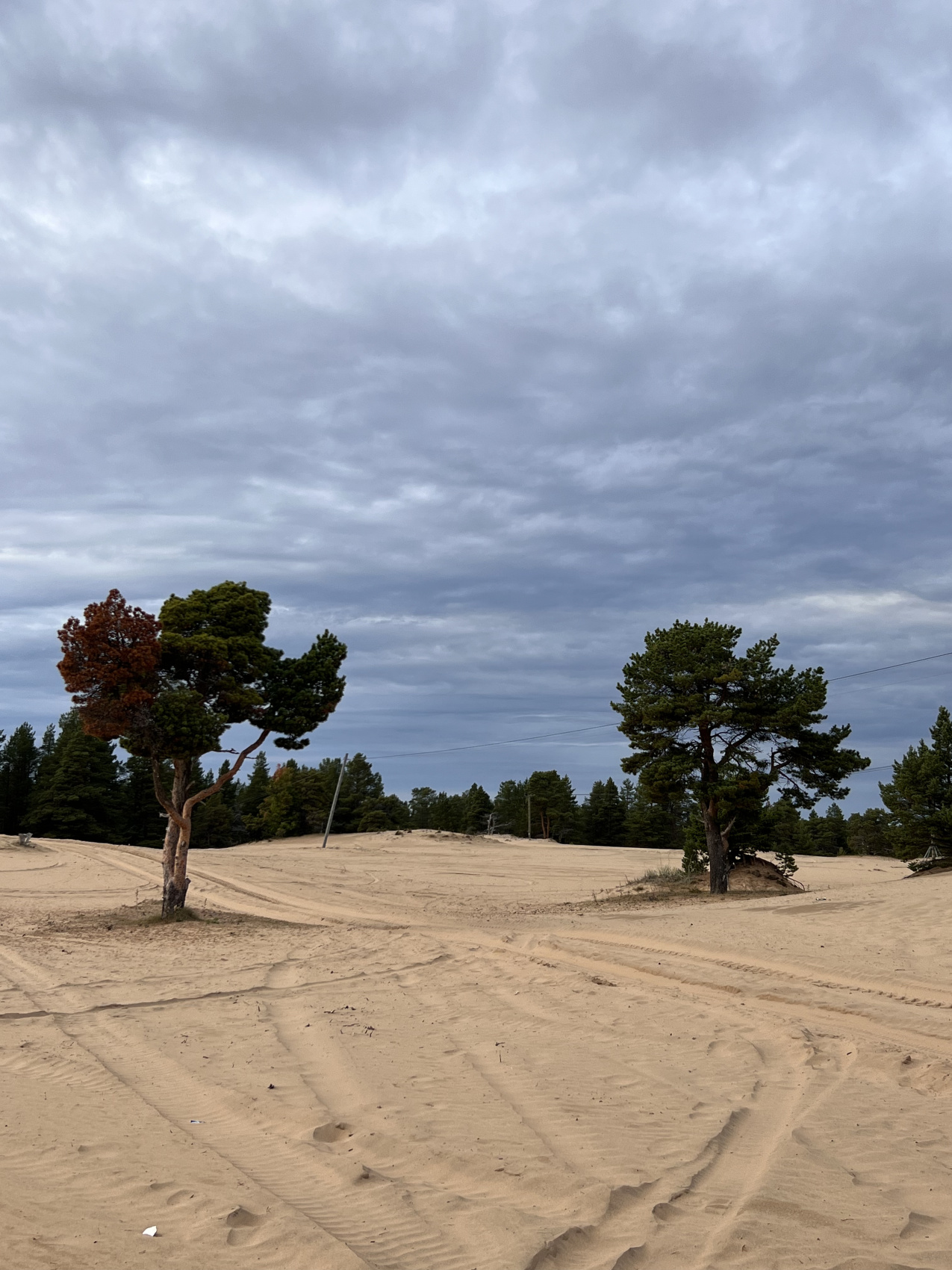 Терский берег Белого моря - Путешествие по Кольскому полуострову. (11/20)
