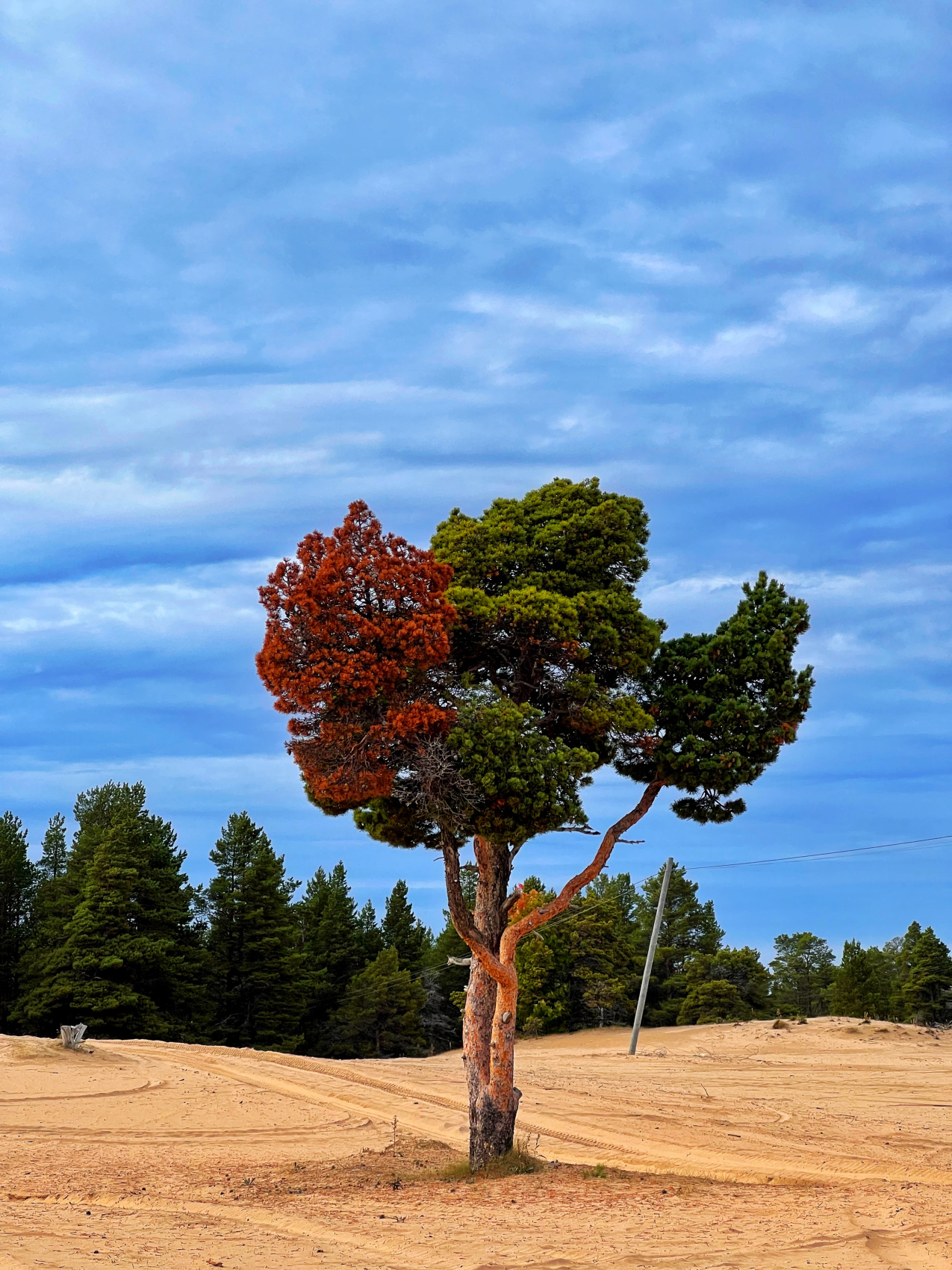 Терский берег Белого моря - Путешествие по Кольскому полуострову. (3/20)