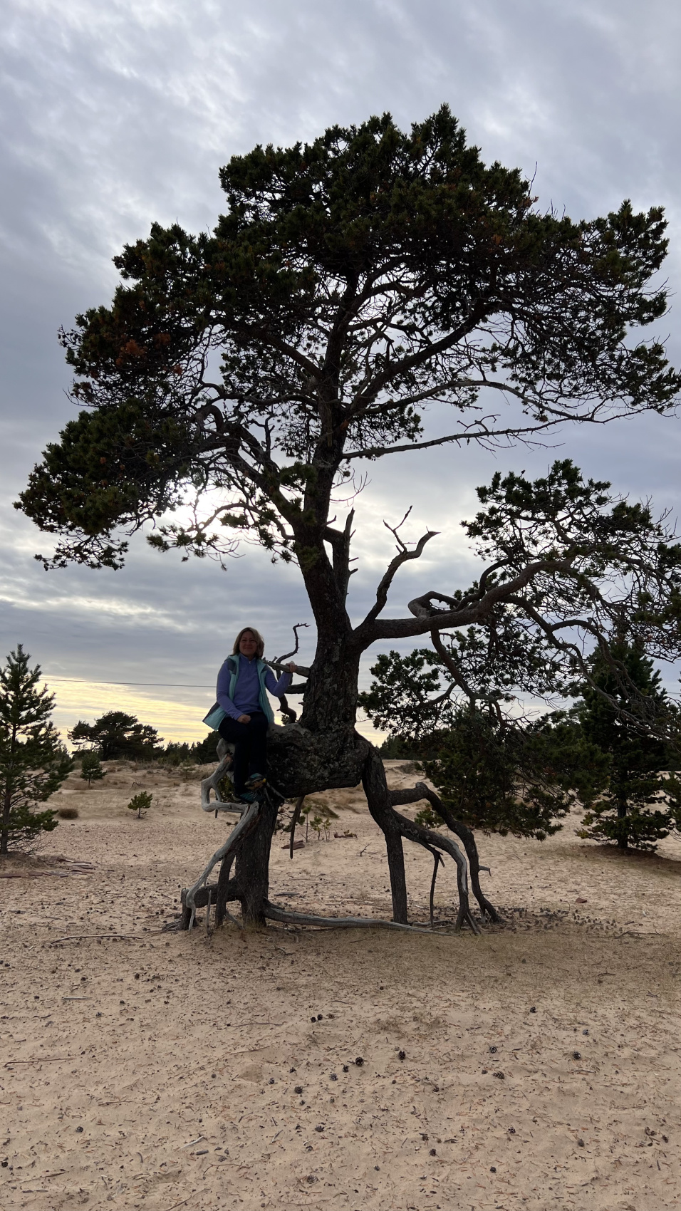 Терский берег Белого моря - Путешествие по Кольскому полуострову. (6/20)