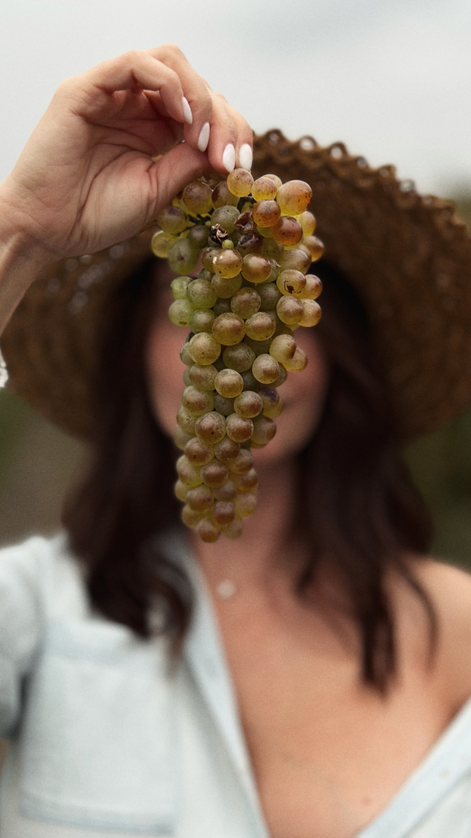 Армения + Грузия! Две страны, одно незабываемое приключение! (9/27)