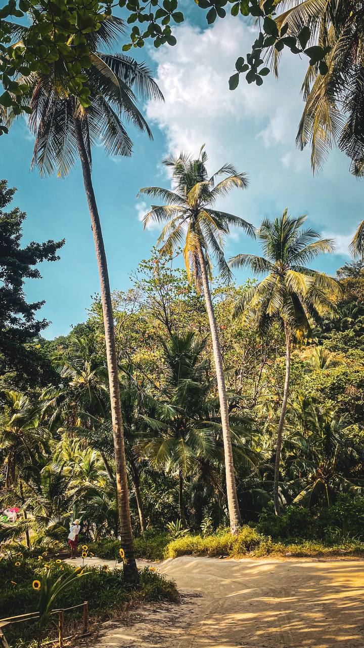 ANTI-РЕТРИТ «ГЛУБИНА» — ШАМАНСКОЕ ПУТЕШЕСТВИЕ К СЕБЕ (16/20)