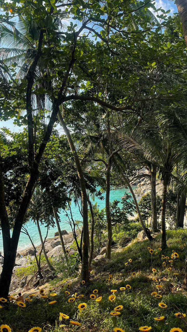 ANTI-РЕТРИТ «ГЛУБИНА» — ШАМАНСКОЕ ПУТЕШЕСТВИЕ К СЕБЕ (15/20)