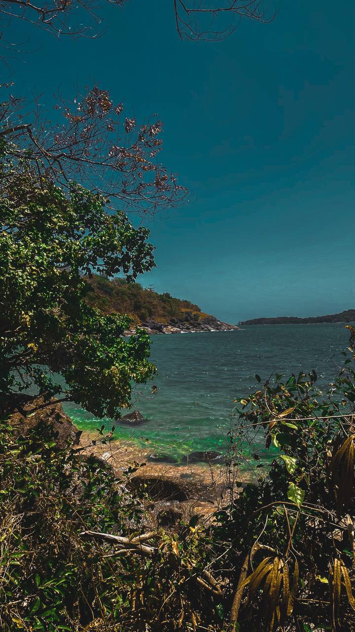 ANTI-РЕТРИТ «ГЛУБИНА» — ШАМАНСКОЕ ПУТЕШЕСТВИЕ К СЕБЕ (12/20)