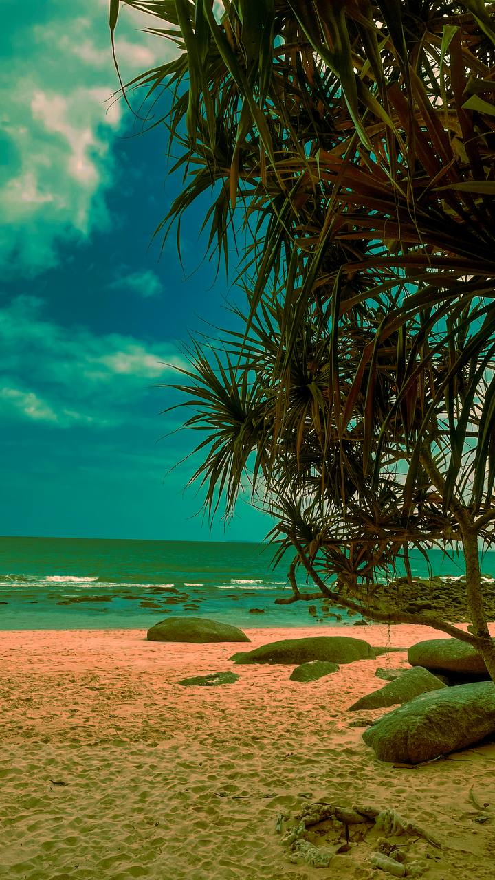 ANTI-РЕТРИТ «ГЛУБИНА» — ШАМАНСКОЕ ПУТЕШЕСТВИЕ К СЕБЕ (11/20)