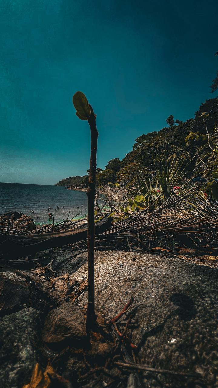 ANTI-РЕТРИТ «ГЛУБИНА» — ШАМАНСКОЕ ПУТЕШЕСТВИЕ К СЕБЕ (13/20)