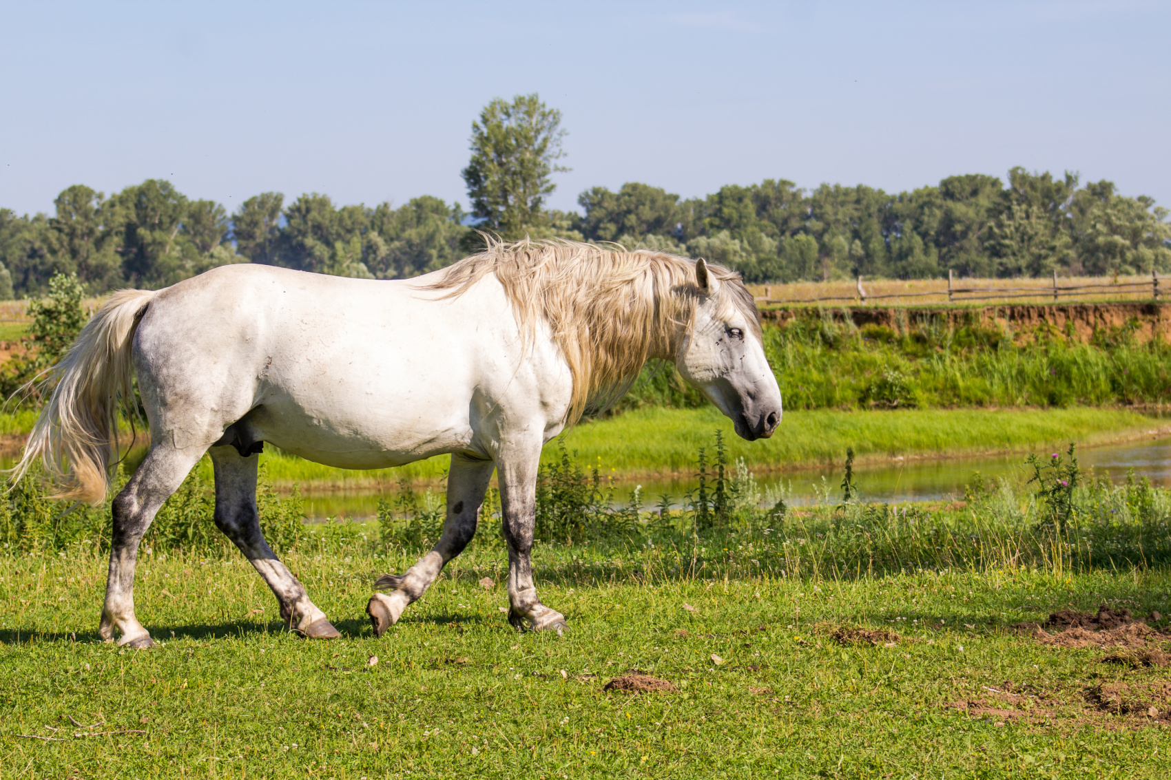 Выходные на реке Зилим