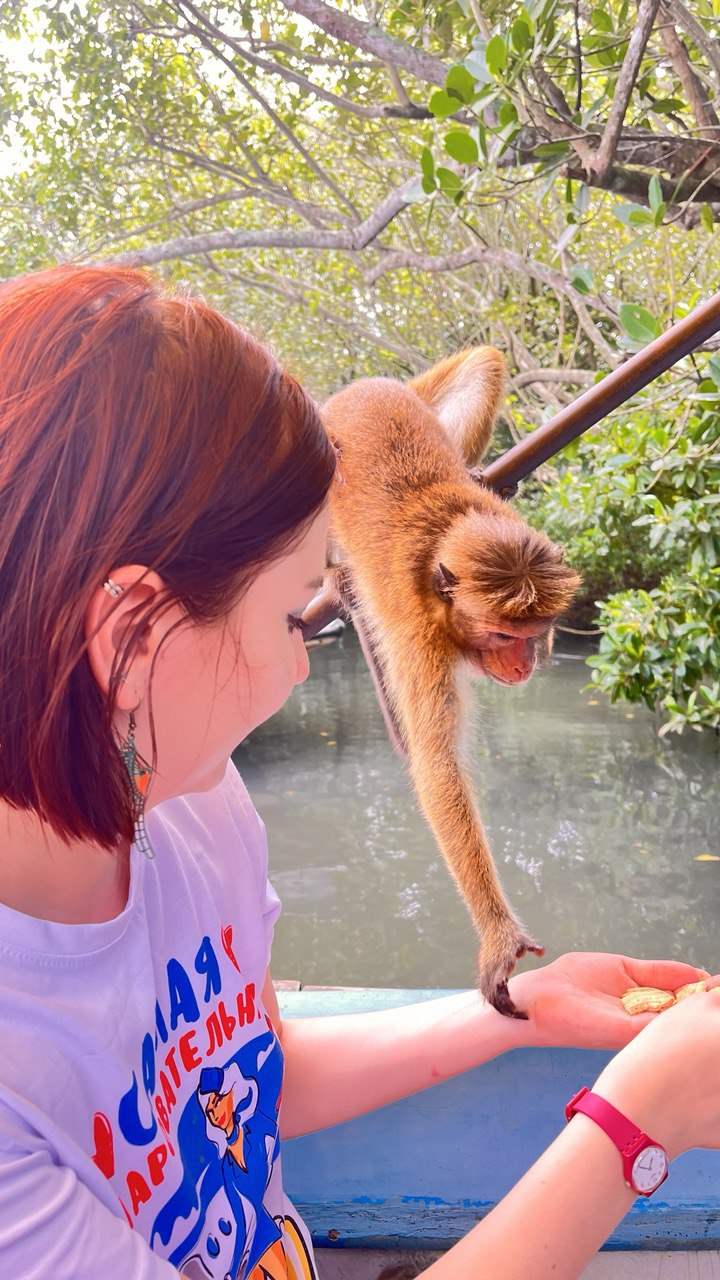 На Шри-Ланку с детьми? Легко! (9/9)