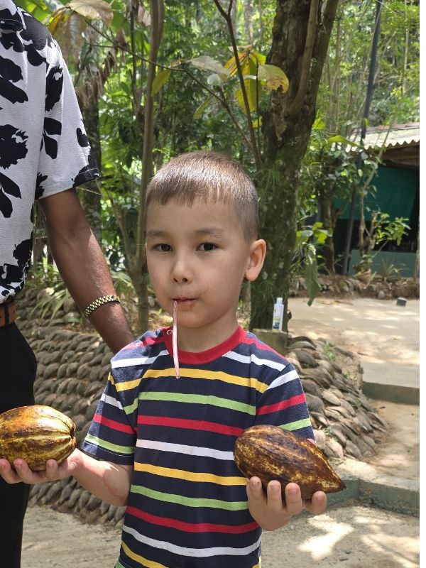 На Шри-Ланку с детьми? Легко! (2/9)