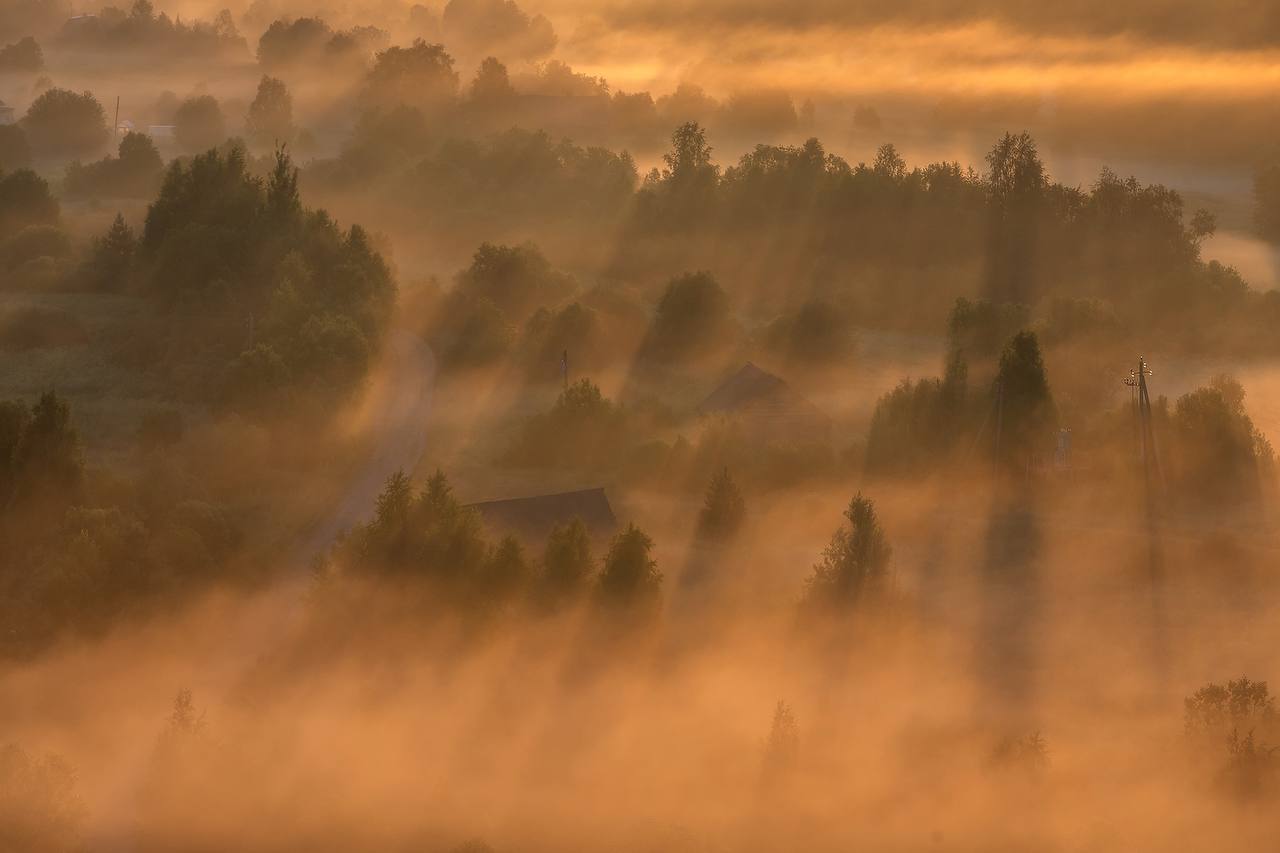 3 дня через лес. Легкий поход. (5/19)