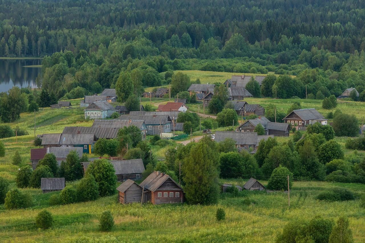 3 дня через лес. Легкий поход. (6/19)