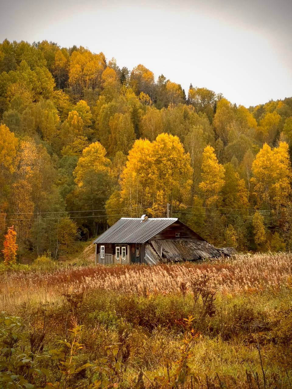 3 дня через лес. Легкий поход. (7/19)
