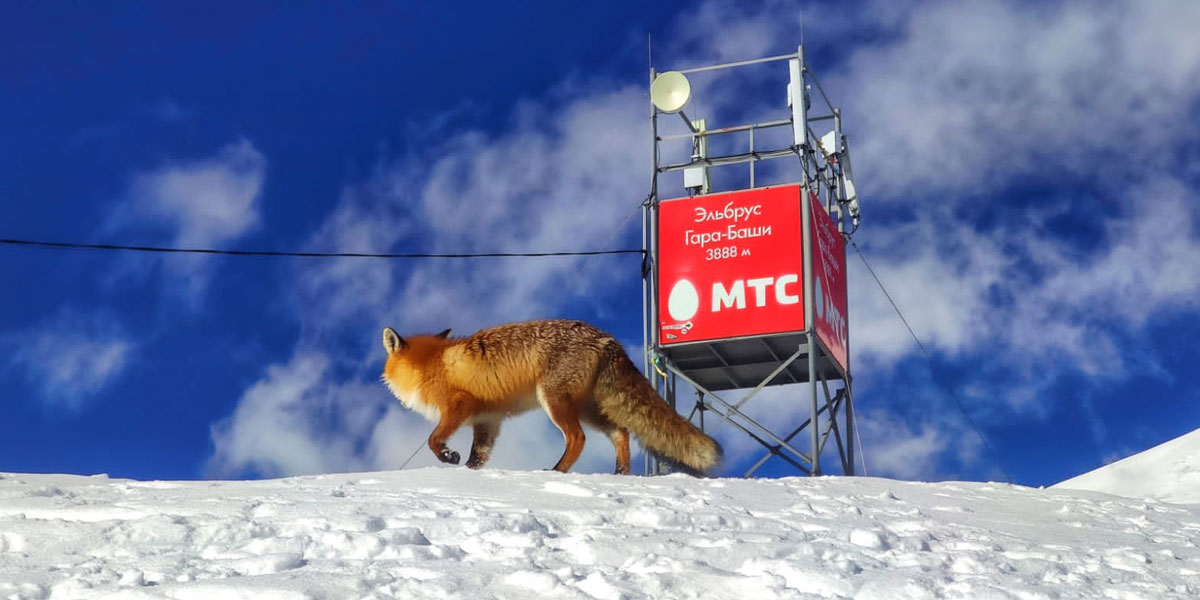 Треккинг в Приэльбрусье без рюкзаков. (33/45)