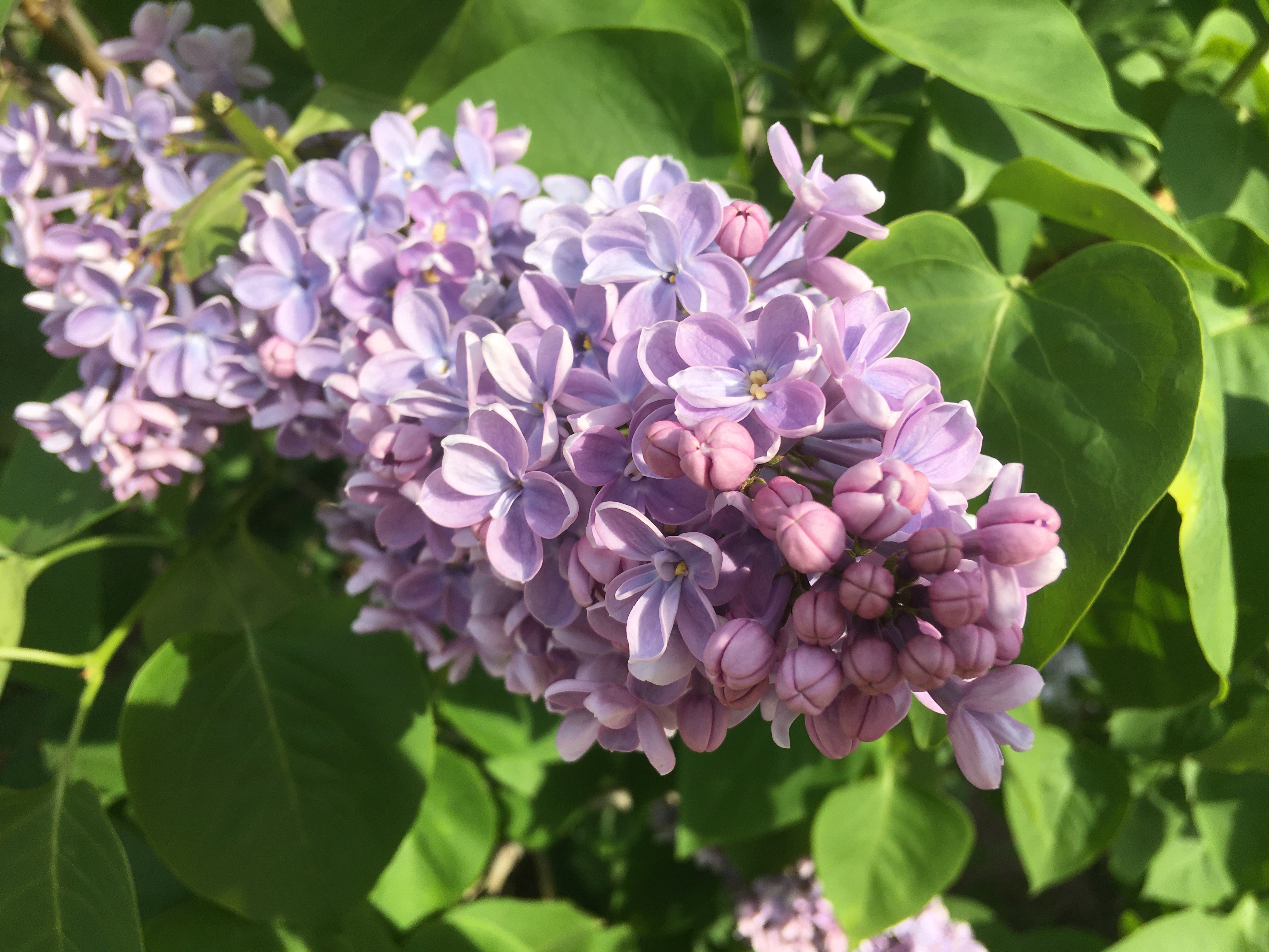 Тур в Волгоград и Нижнее Поволжье от Дона до озера Эльтон (мини-группа) - 8 дней (37/55)