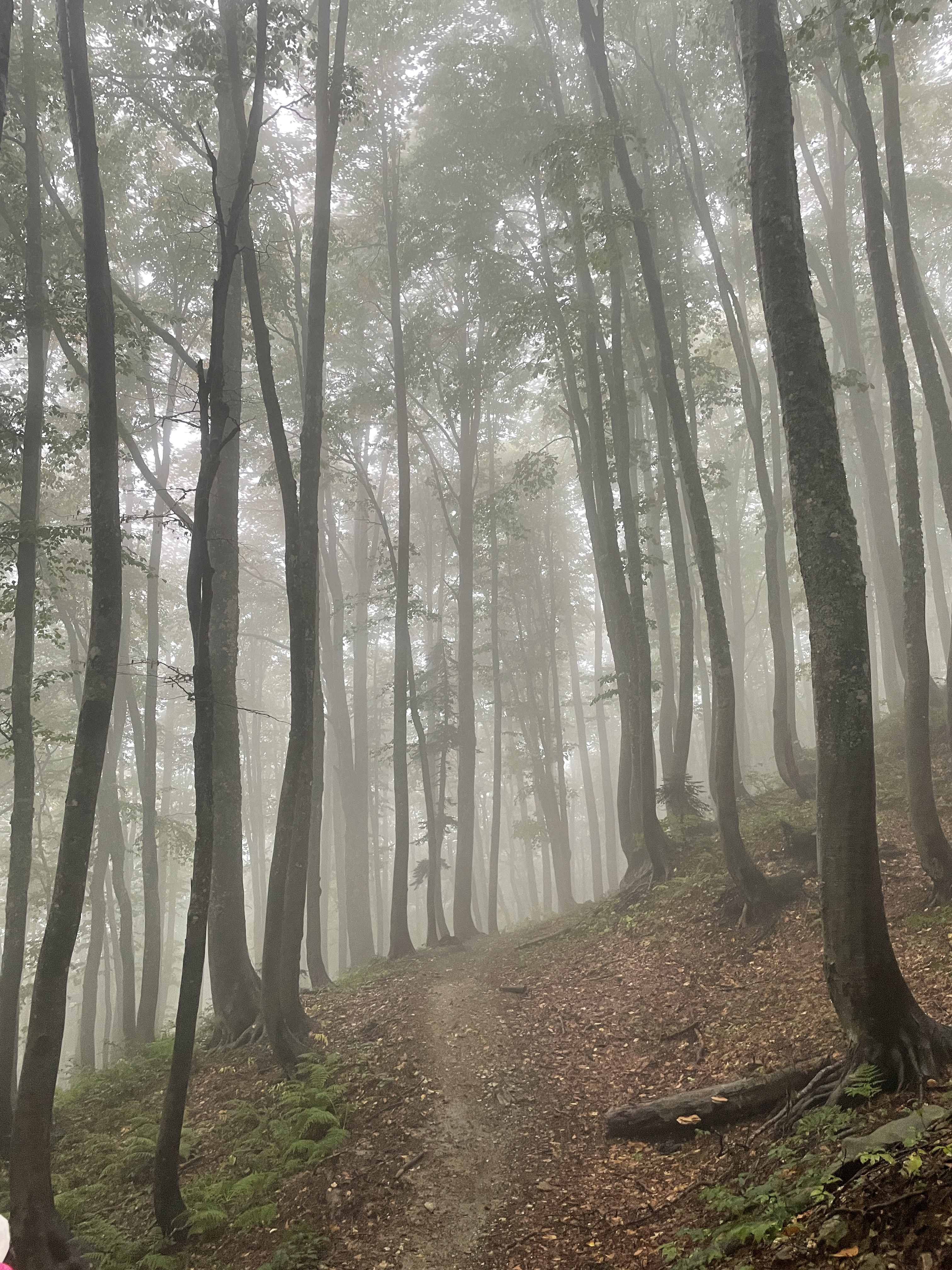 Адыгея. Через горы к морю. 30 маршрут (24/28)