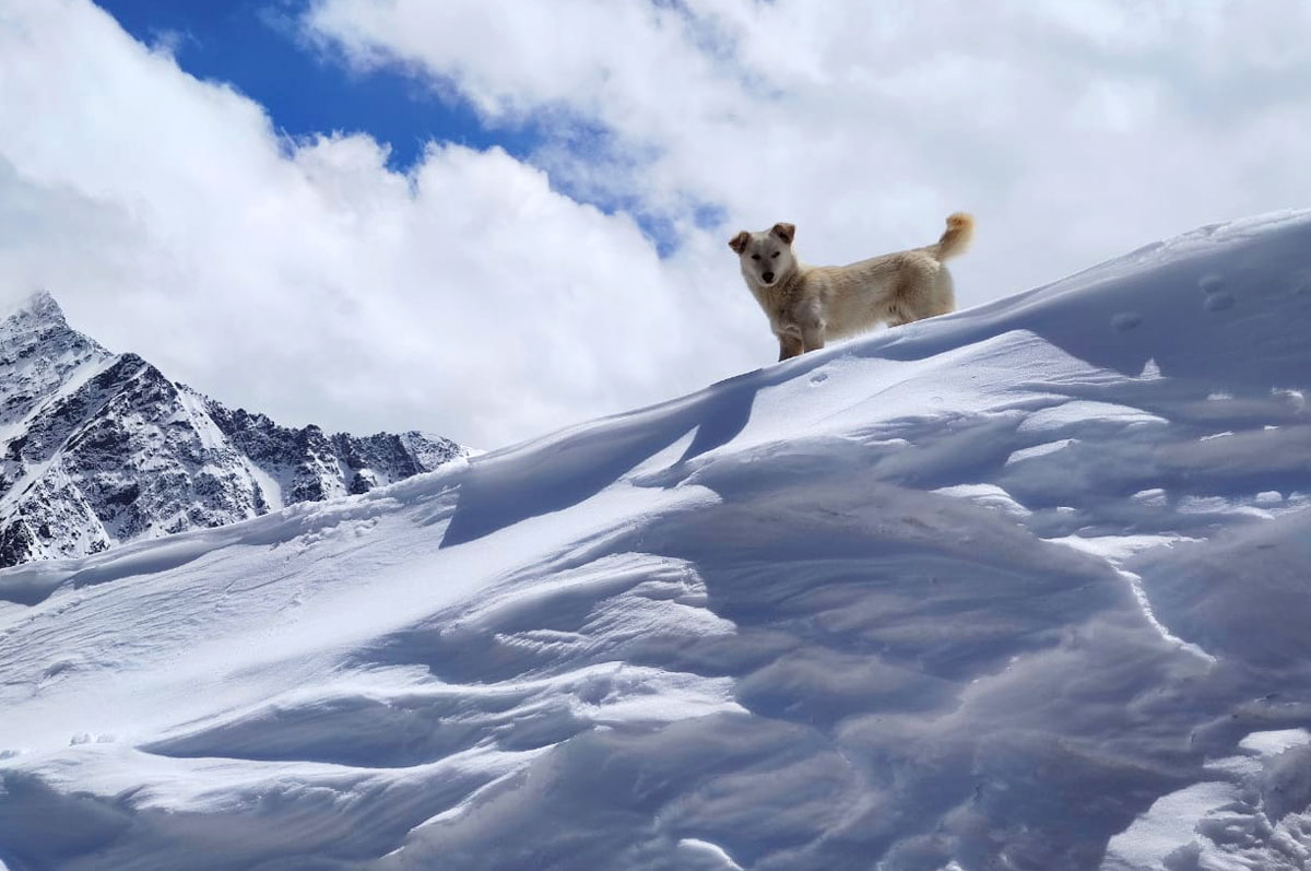 Треккинг в Приэльбрусье без рюкзаков. (30/45)