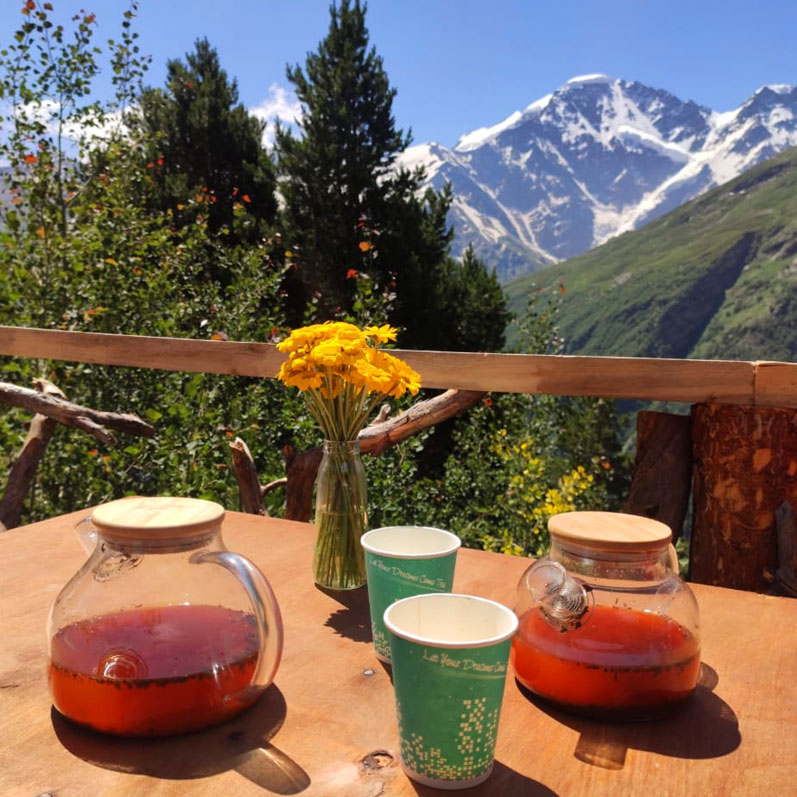 Треккинг в Приэльбрусье без рюкзаков. (27/45)