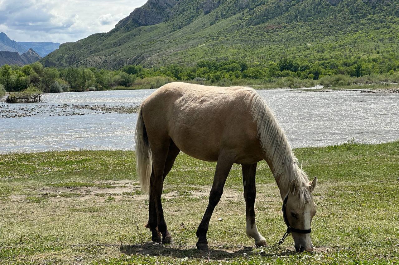 Легенды Дагестана  5 Дней, Всё Включено!!! (5/56)