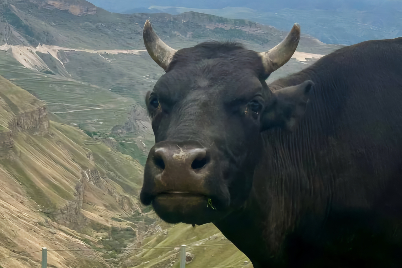 Легенды Дагестана  5 Дней, Всё Включено!!! (3/56)