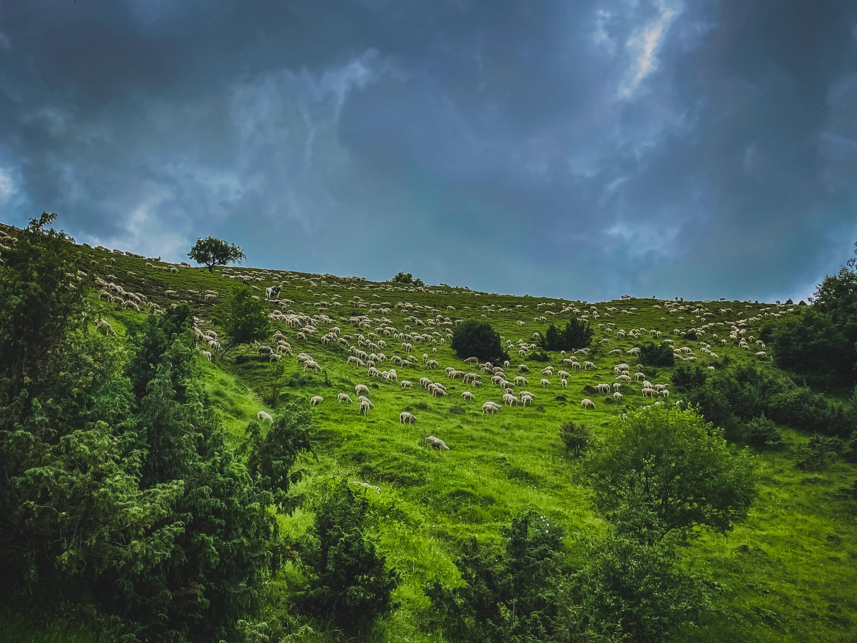 Легенды Дагестана  5 Дней, Всё Включено!!! (42/56)