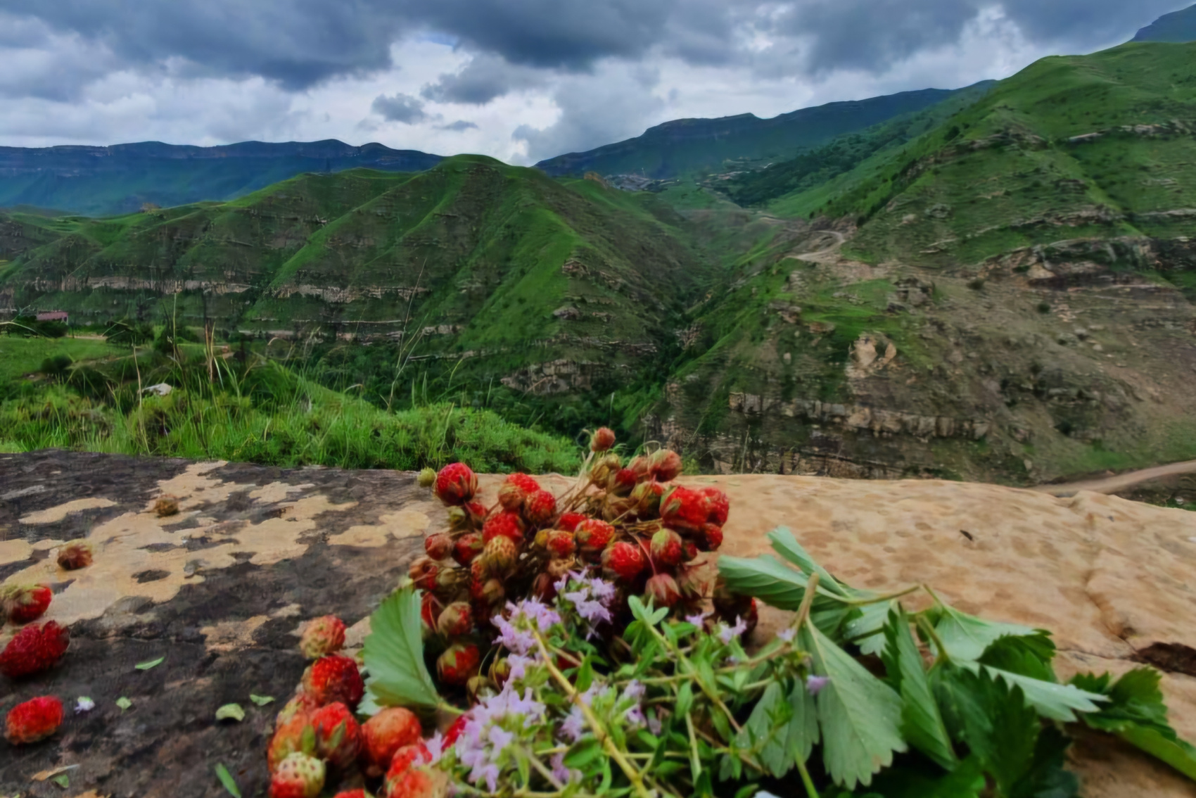 Легенды Дагестана  5 Дней, Всё Включено!!! (22/56)