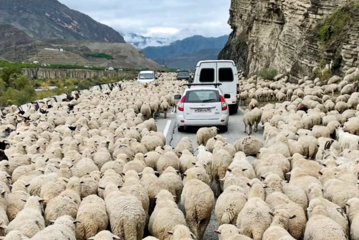 Легенды Дагестана  5 Дней, Всё Включено!!! (45/56)