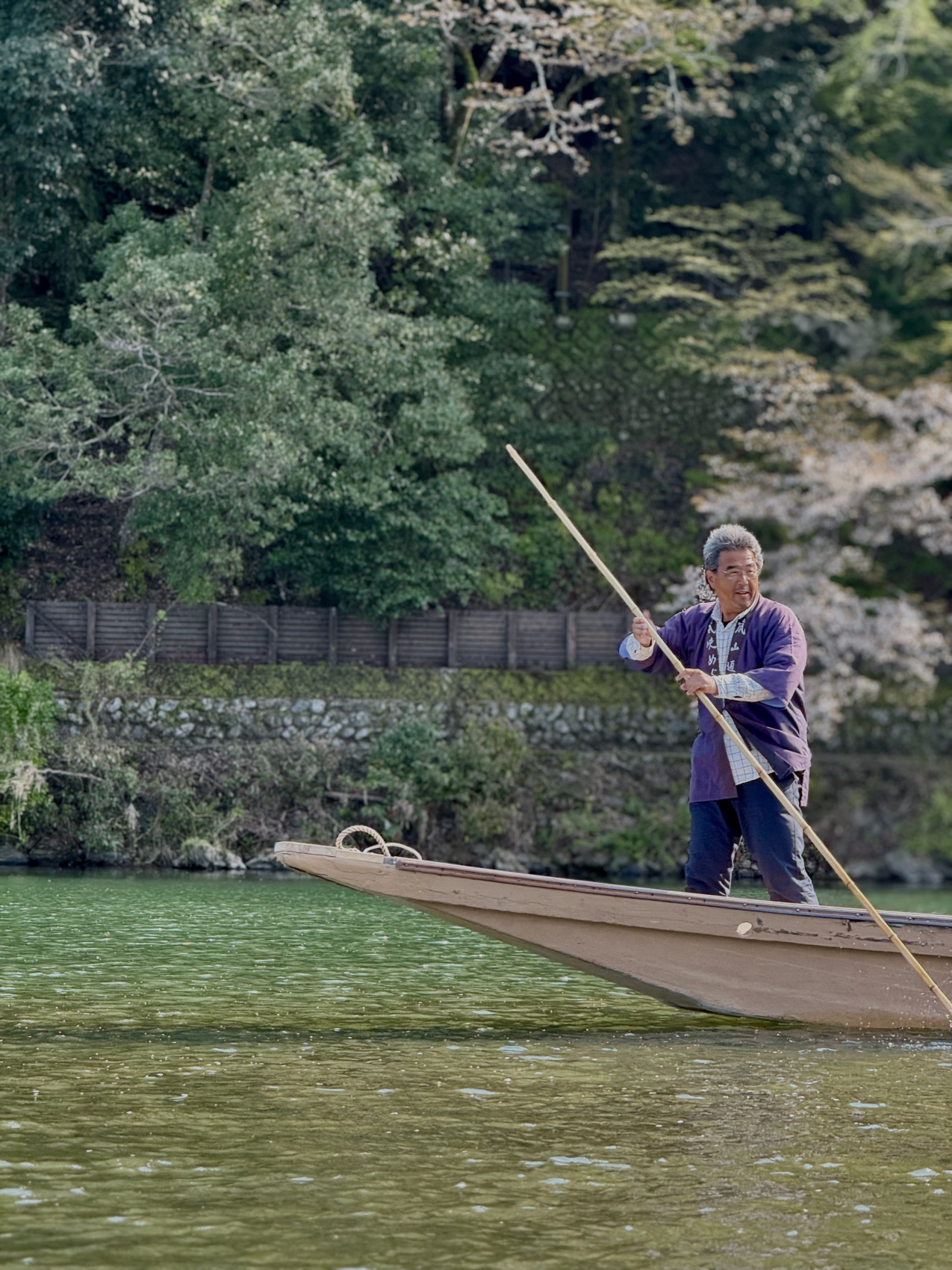 Индивидуальный семейный Тур В Японию (16/35)