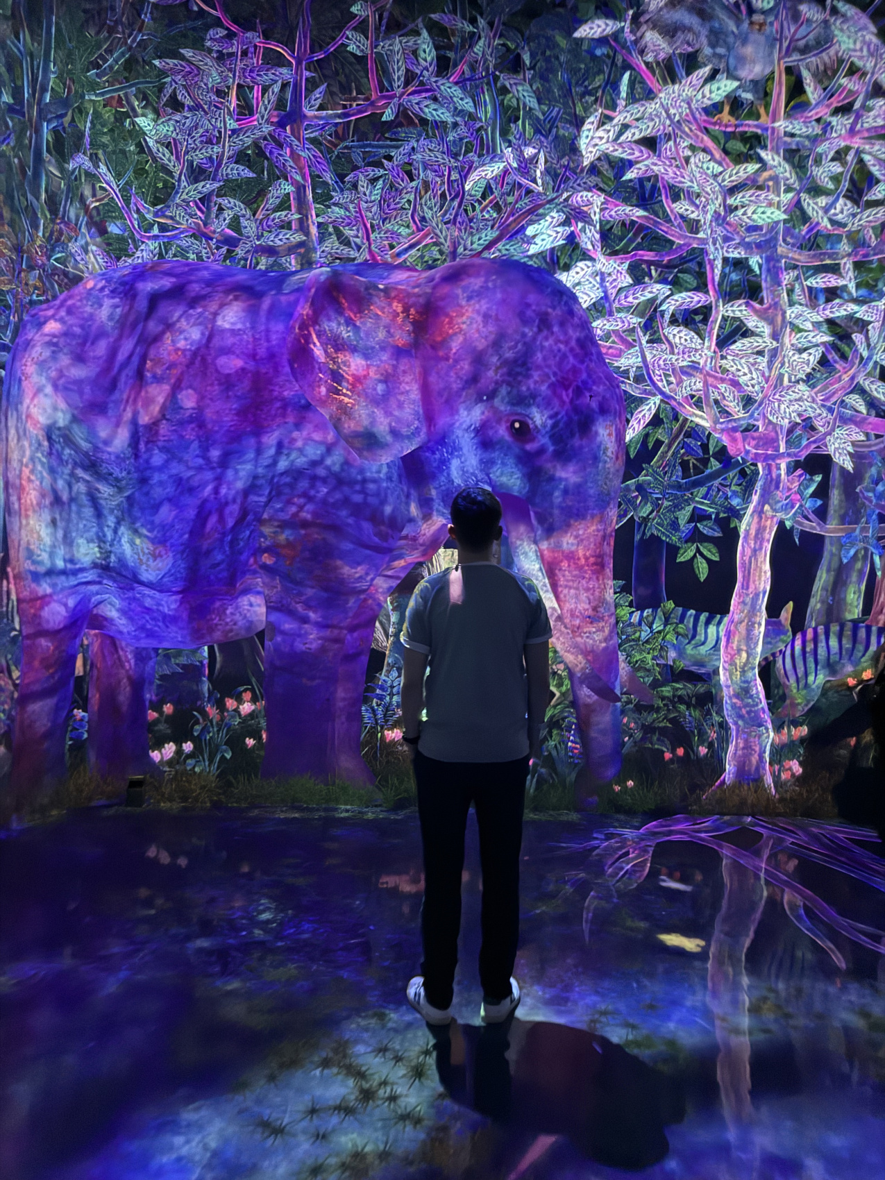 Индивидуальный семейный Тур В Японию (21/35)