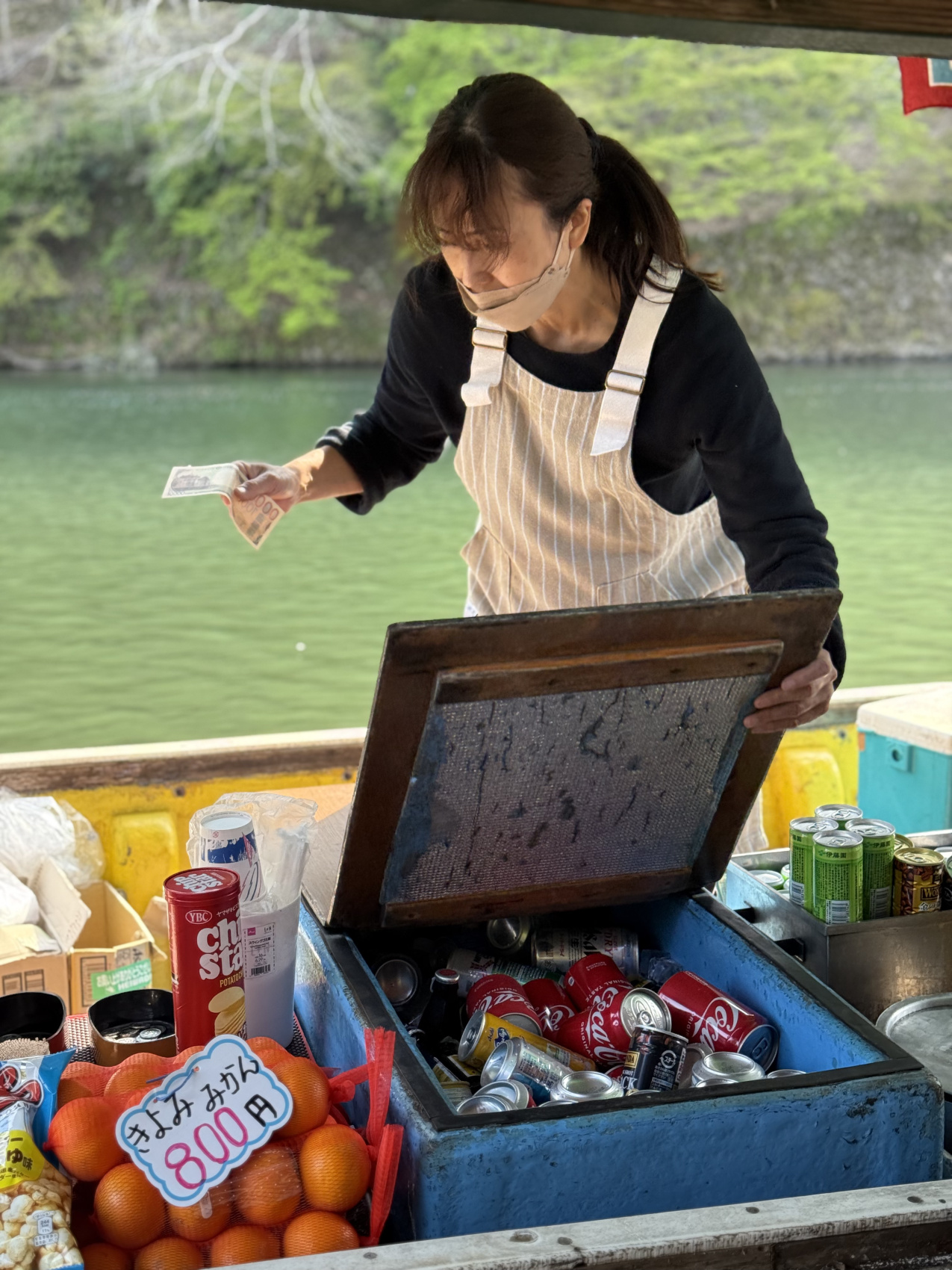 Индивидуальный семейный Тур В Японию (35/35)