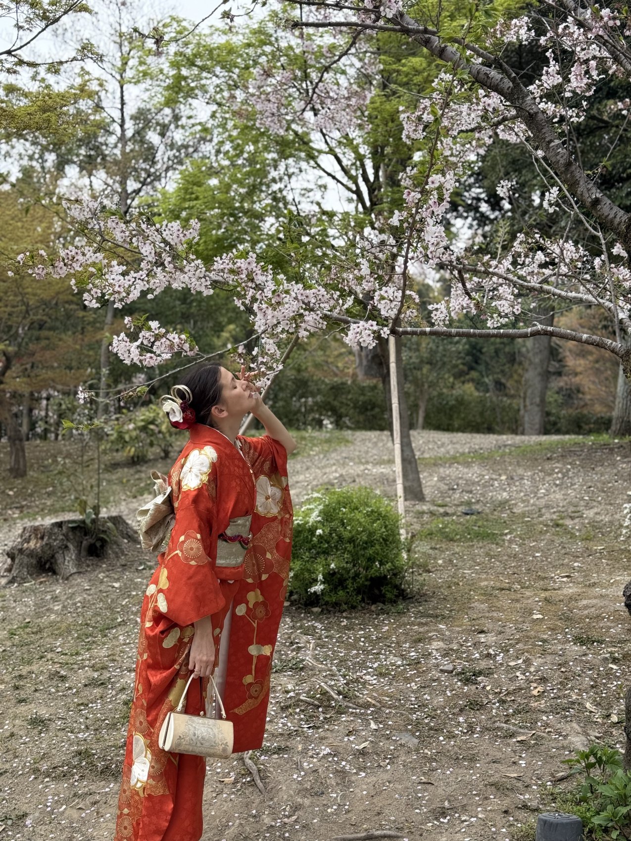 Индивидуальный семейный Тур В Японию (12/35)