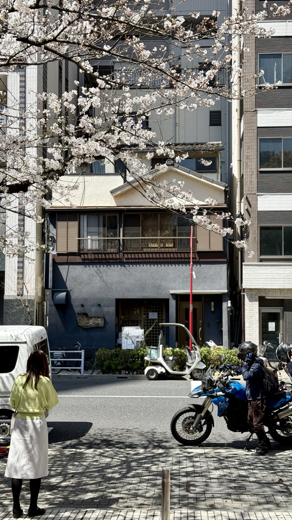 Индивидуальный семейный Тур В Японию (34/35)