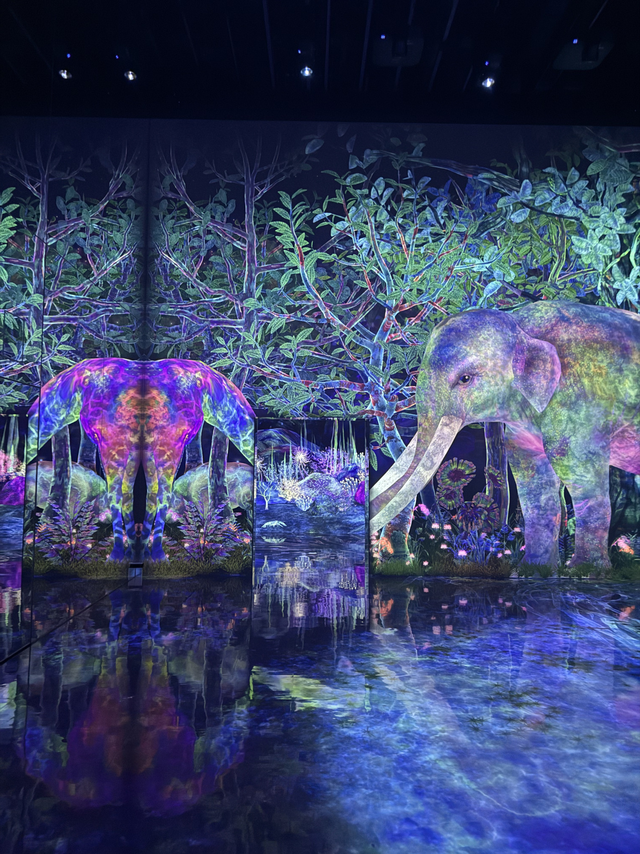 Индивидуальный семейный Тур В Японию (3/35)