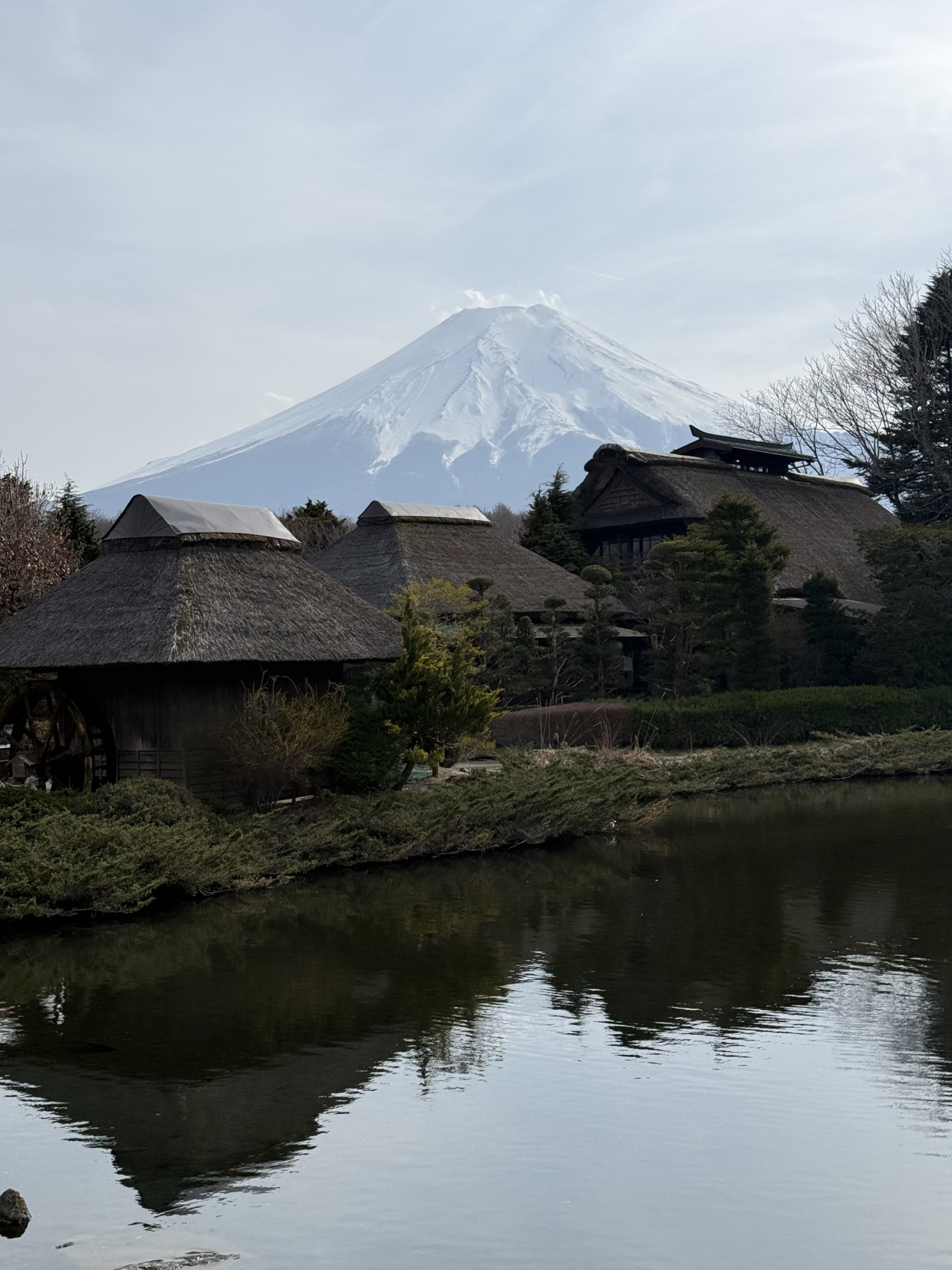 Индивидуальный семейный Тур В Японию (7/35)