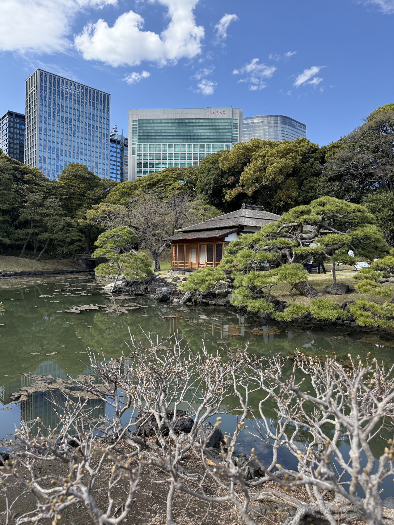 Индивидуальный семейный Тур В Японию (33/35)