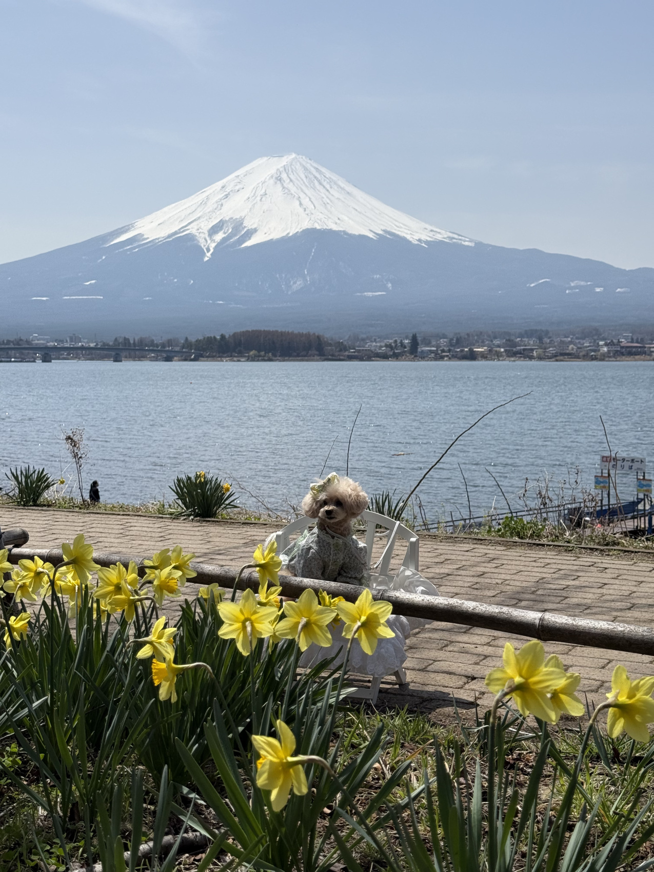 Индивидуальный семейный Тур В Японию (6/35)