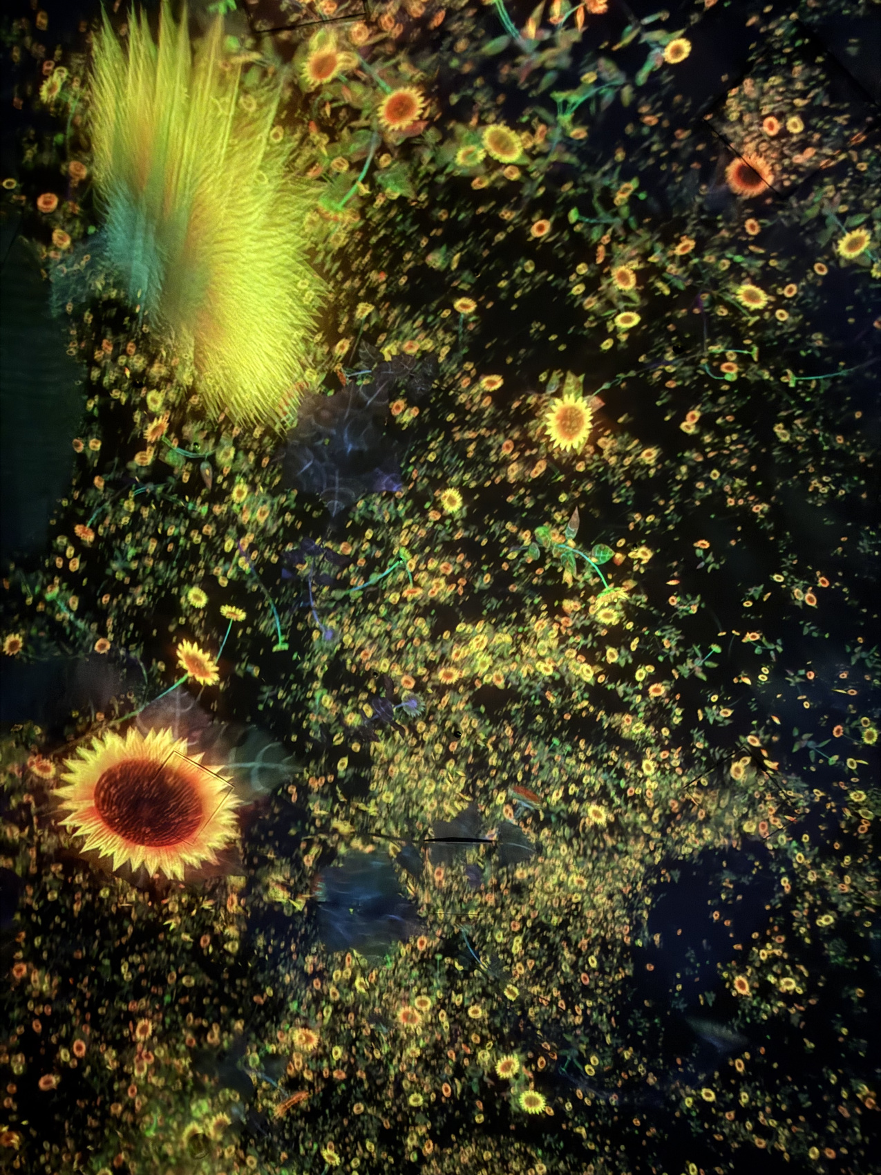 Индивидуальный семейный Тур В Японию (4/35)