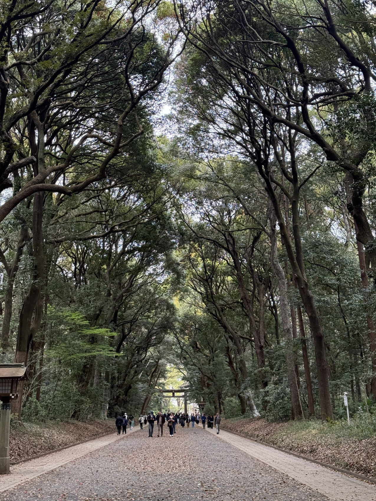 Индивидуальный семейный Тур В Японию (25/35)