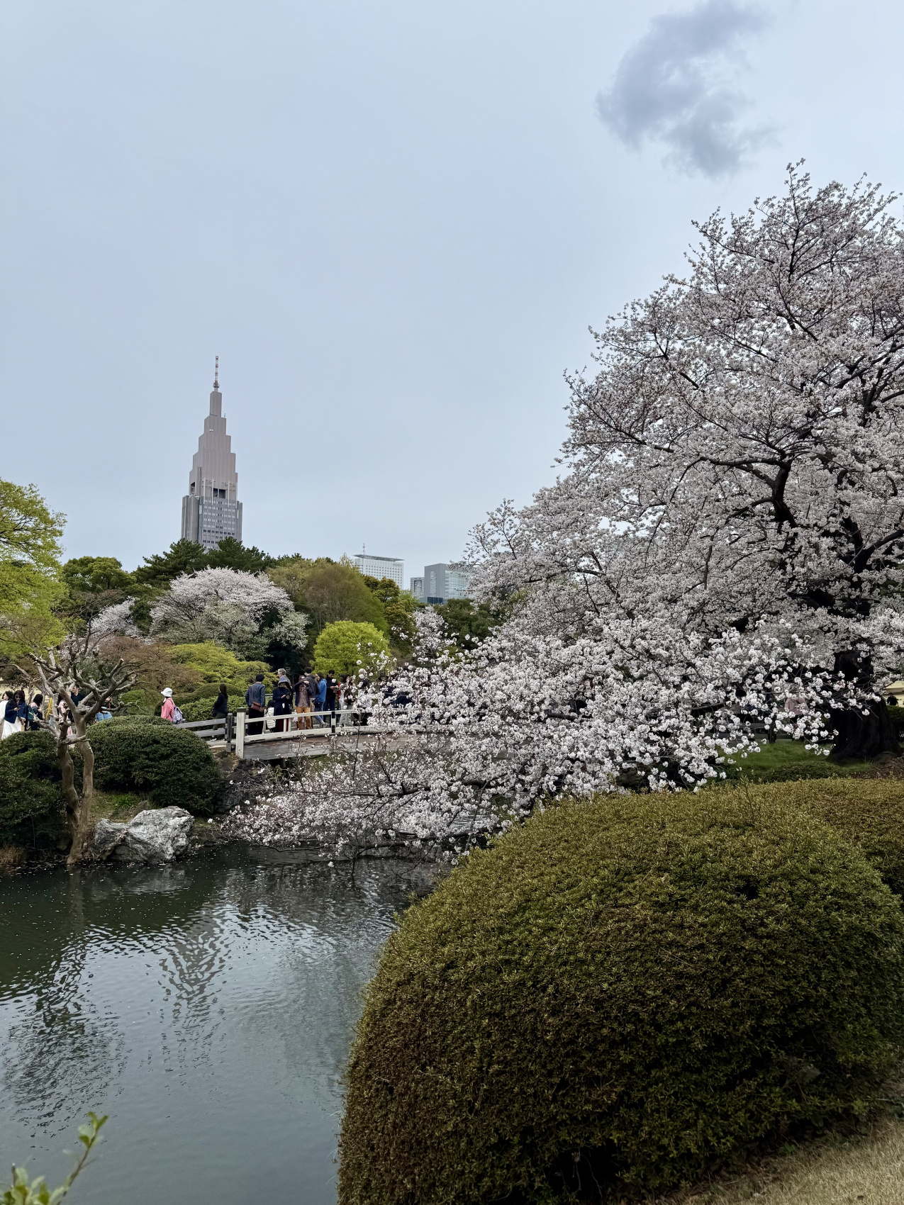 Индивидуальный семейный Тур В Японию (22/35)