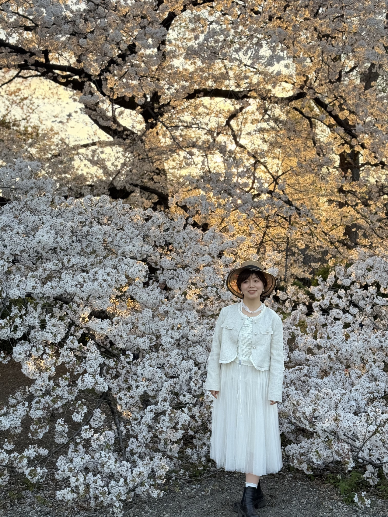 Индивидуальный семейный Тур В Японию (28/35)