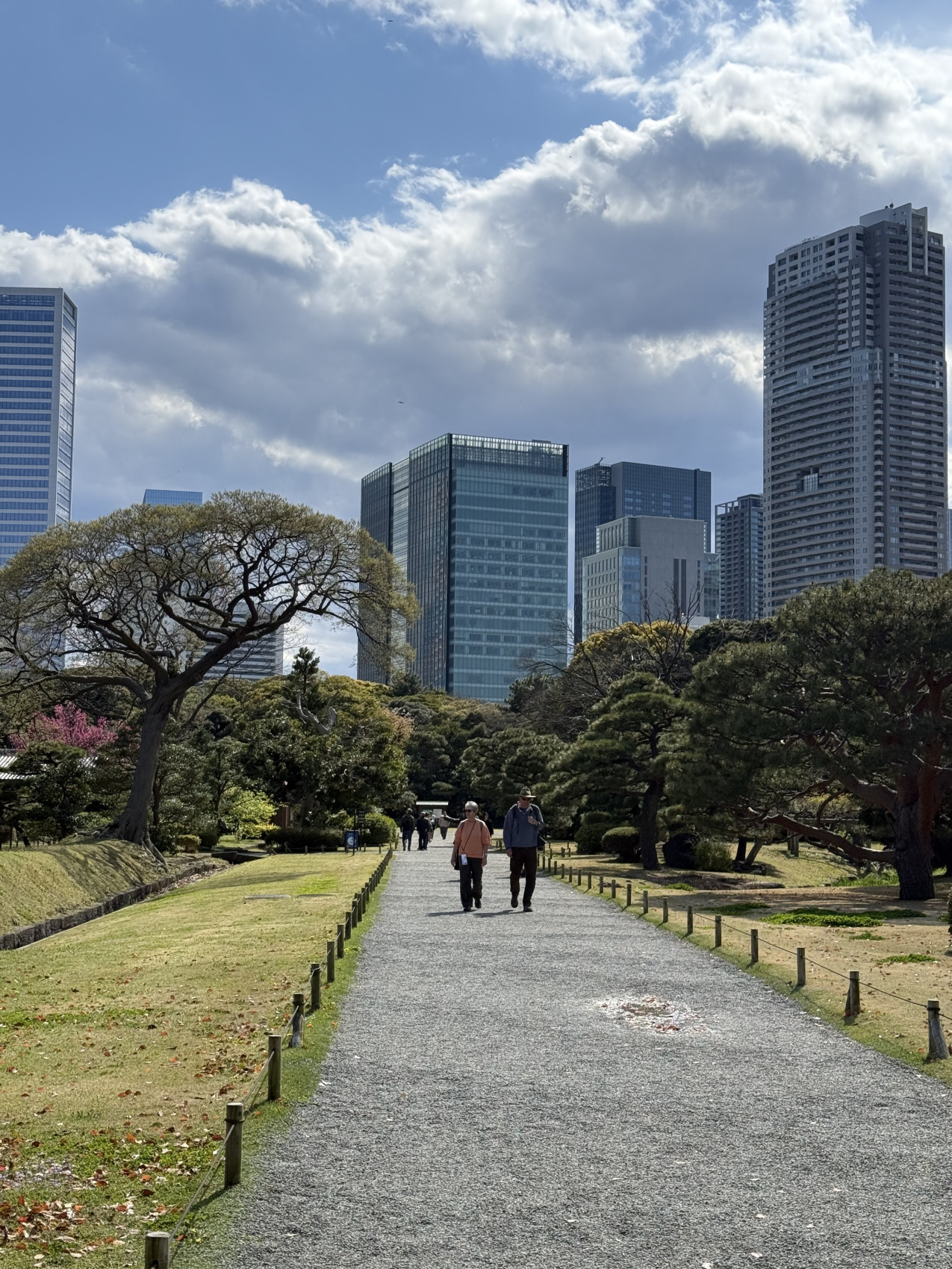 Индивидуальный семейный Тур В Японию (31/35)