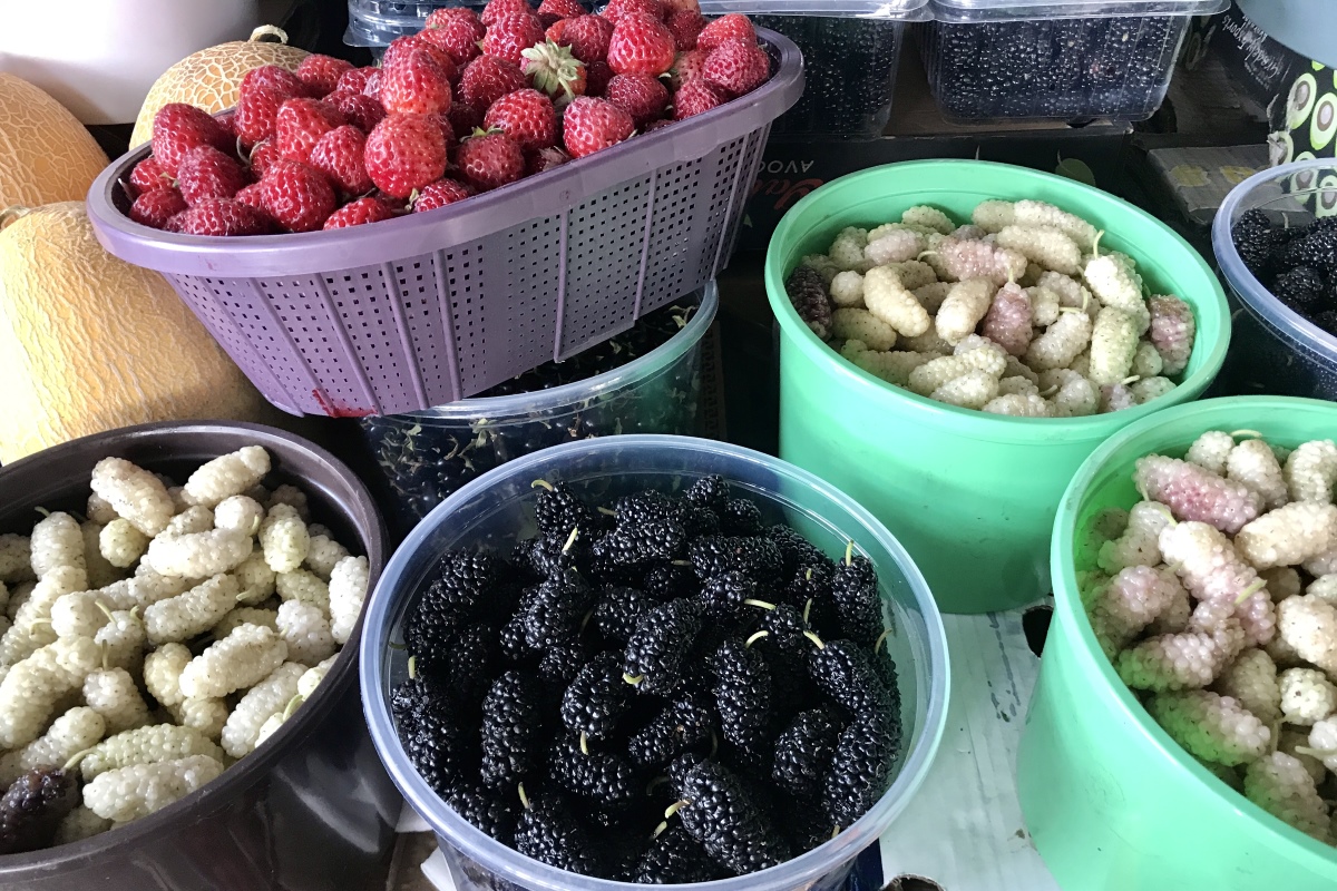 АРМЕНИЯ, о которой вы не знали (Лорийская и Тавушская области)  (63/100)