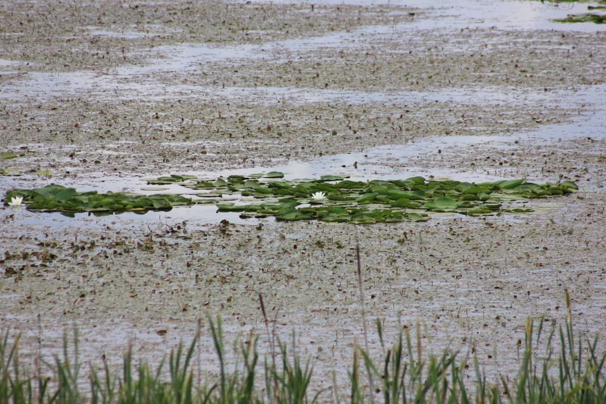 АРМЕНИЯ, о которой вы не знали (Лорийская и Тавушская области)  (30/100)
