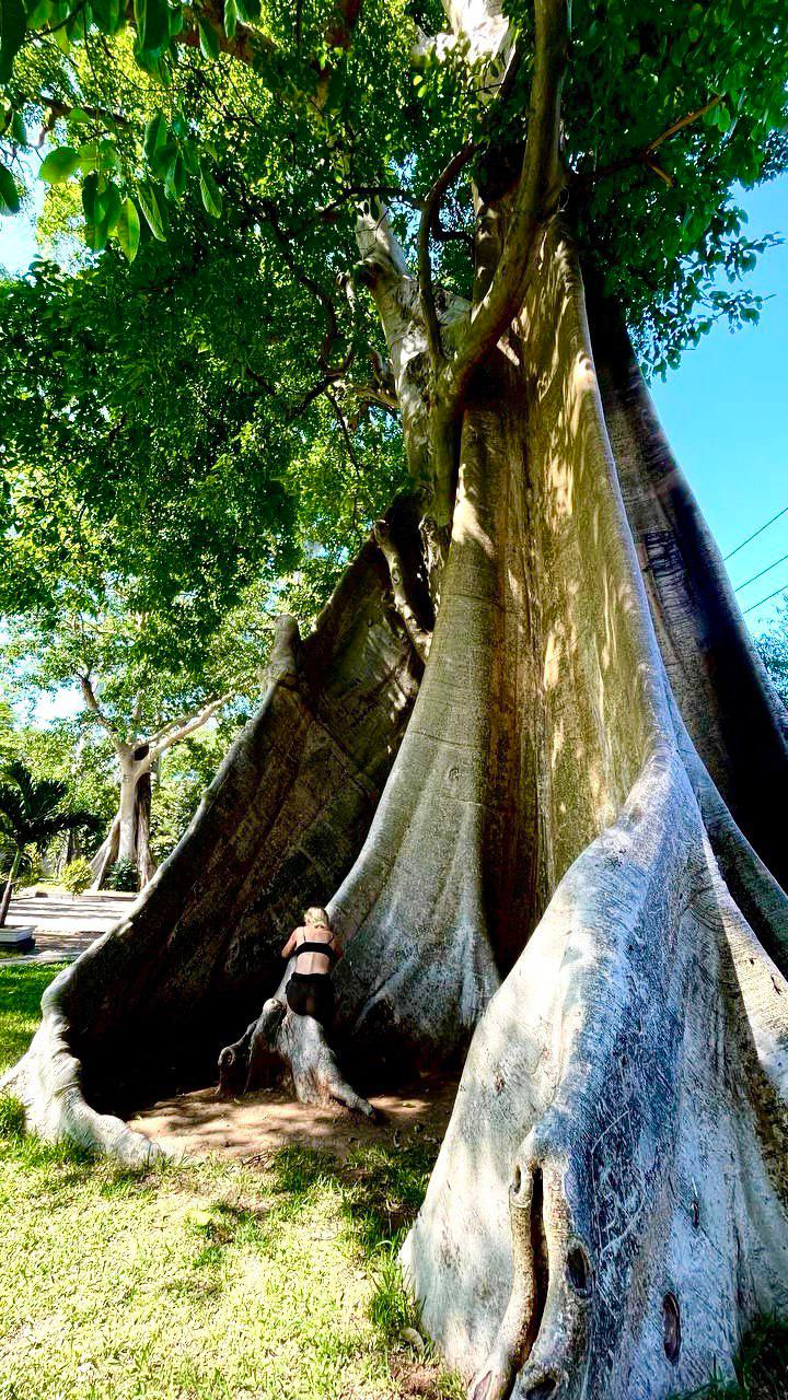 Anti-Retrit Путешествие В Тень (4/9)