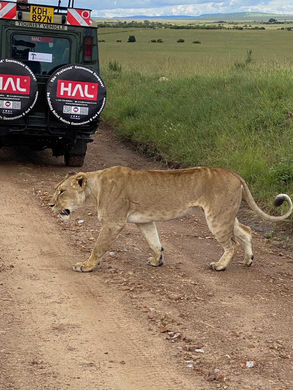 Трехдневное сафари по дикой природе Амбосели: познакомьтесь с «большой пятеркой» Африки (2/7)