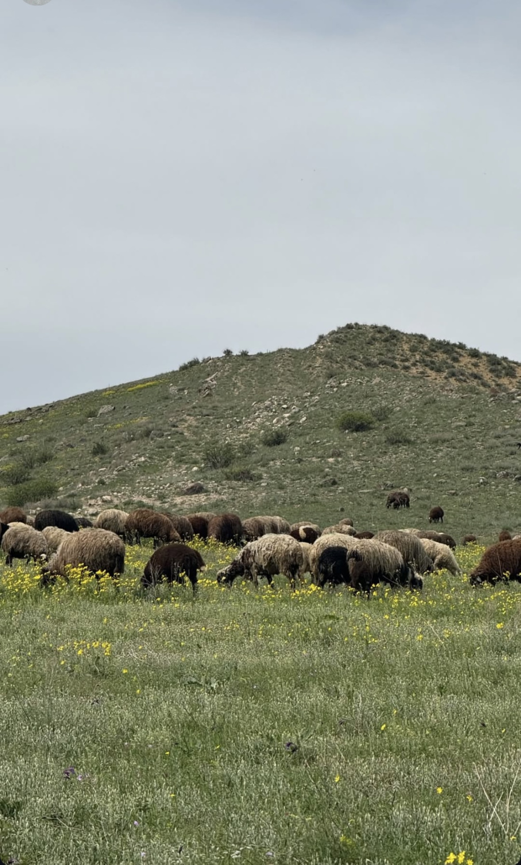 Тур В Ереван На 3 Дня (5/18)
