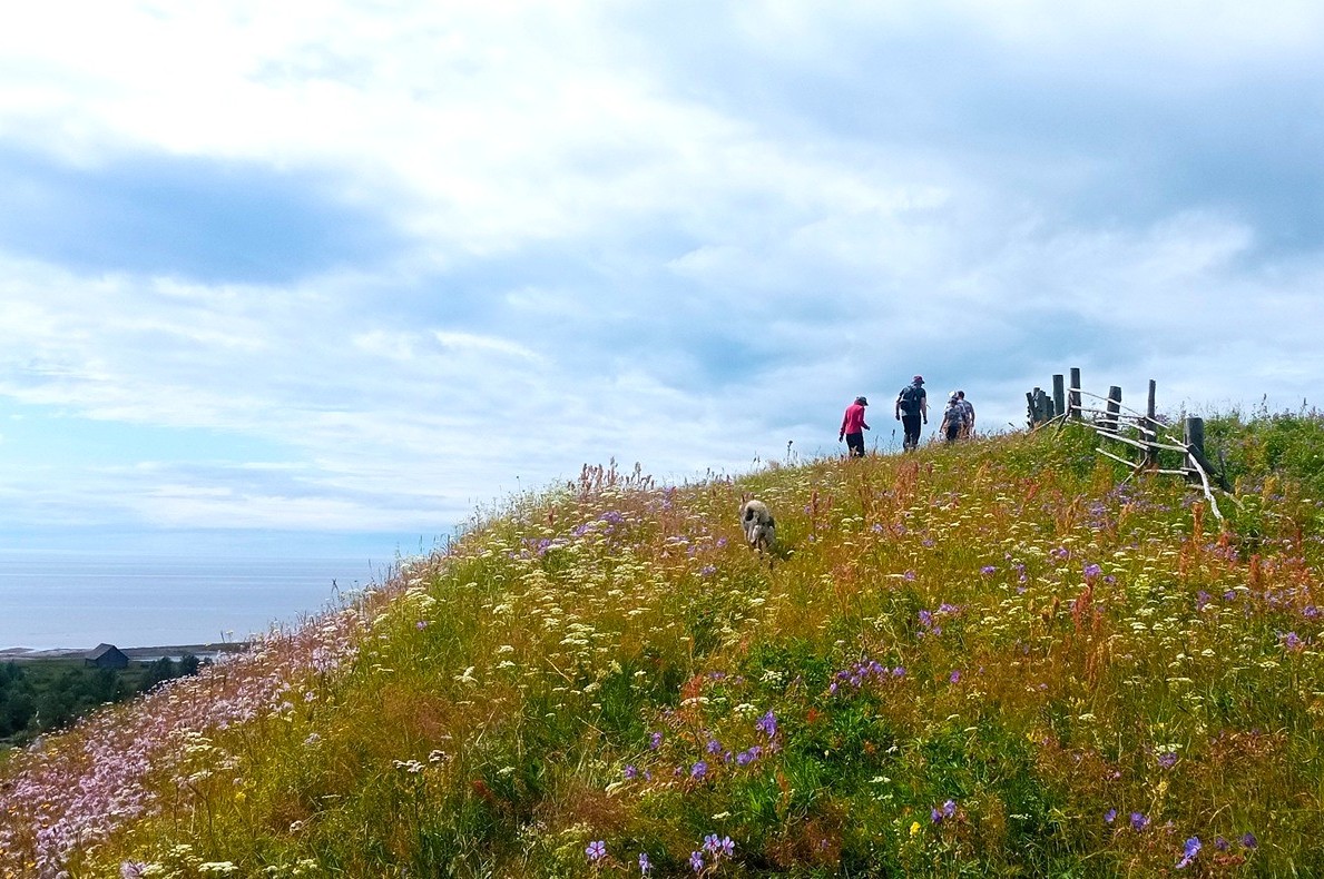 Отдых на Белом море: Пурнема и Лямца