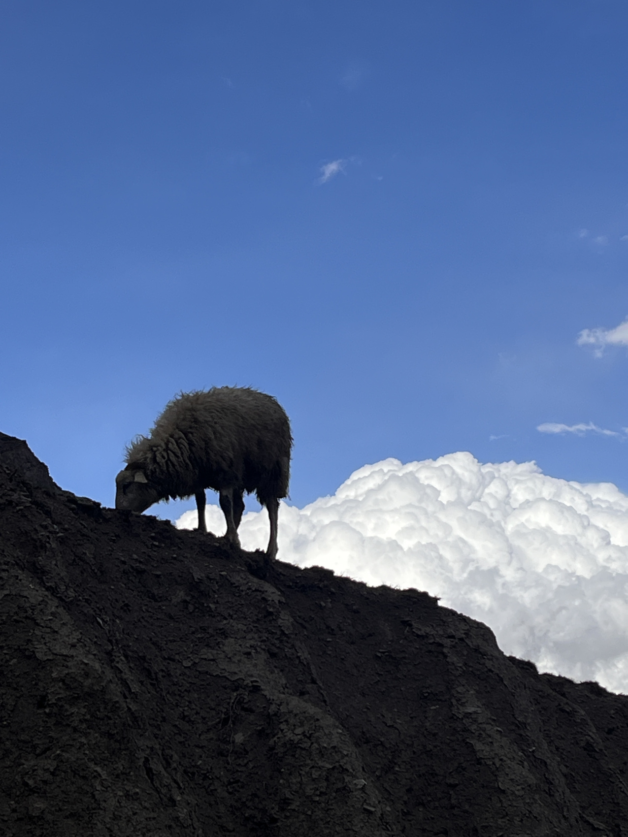 От Осетии до Дагестана. 4 дня на Кавказе. Из Владикавказа! (34/89)