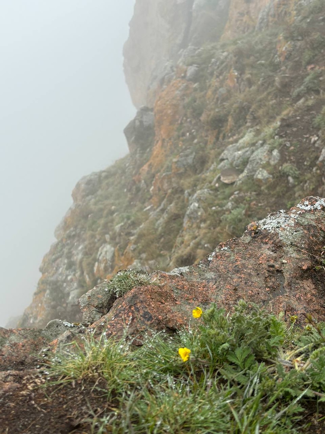Эпическое путешествие по Кавказу за 5 дней. Из Владикавказа (23/128)