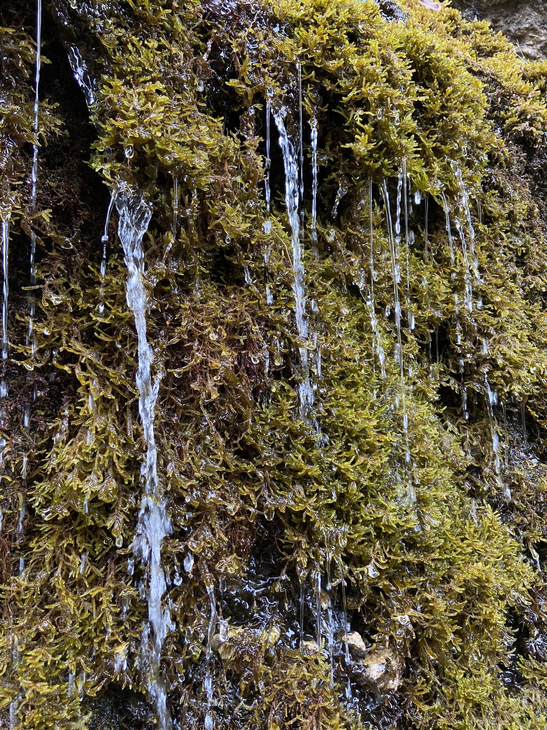 От Осетии до Дагестана. 4 дня на Кавказе. Из Владикавказа! (30/89)