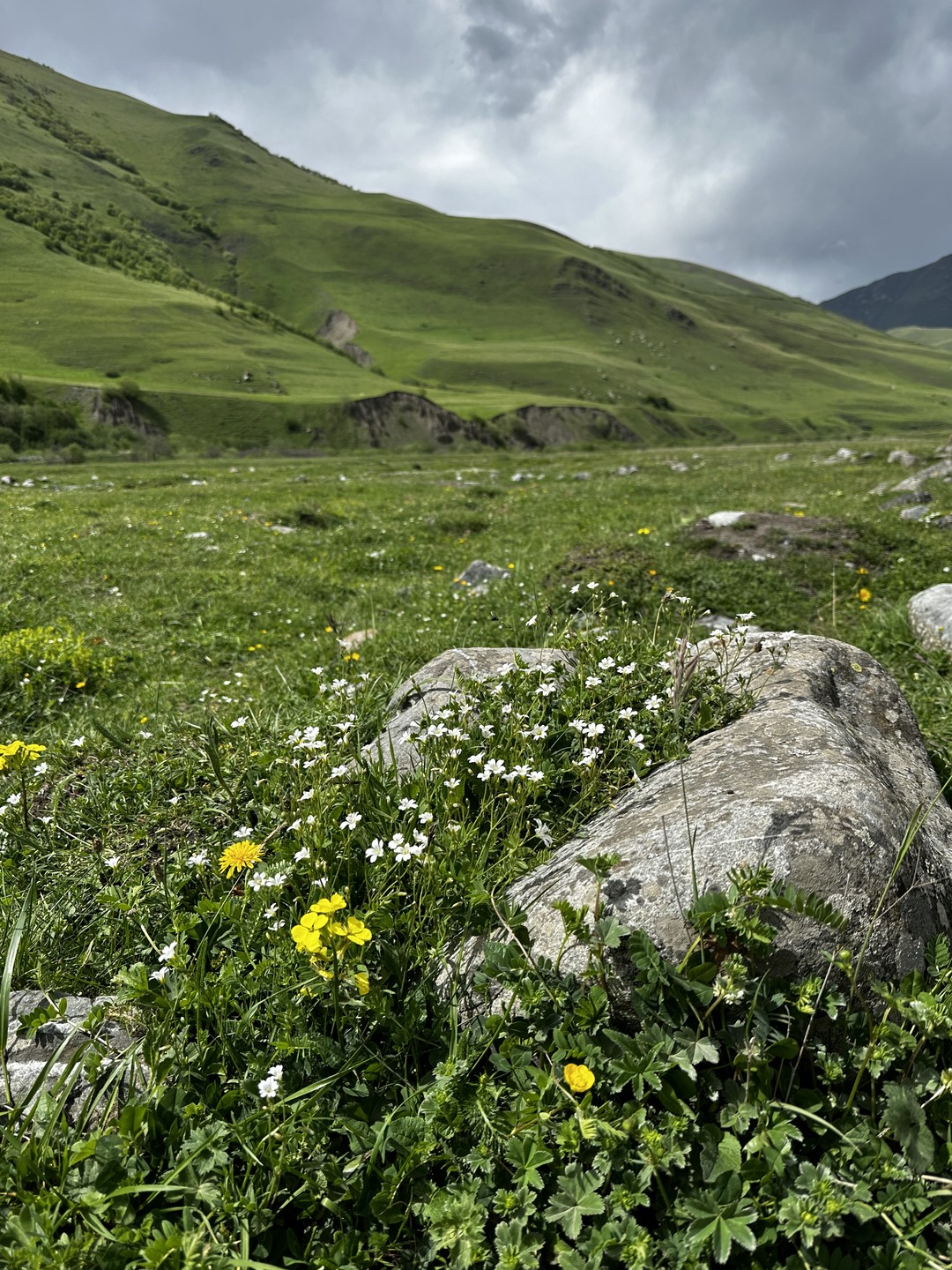 От Осетии до Дагестана. 4 дня на Кавказе. Из Владикавказа! (78/89)