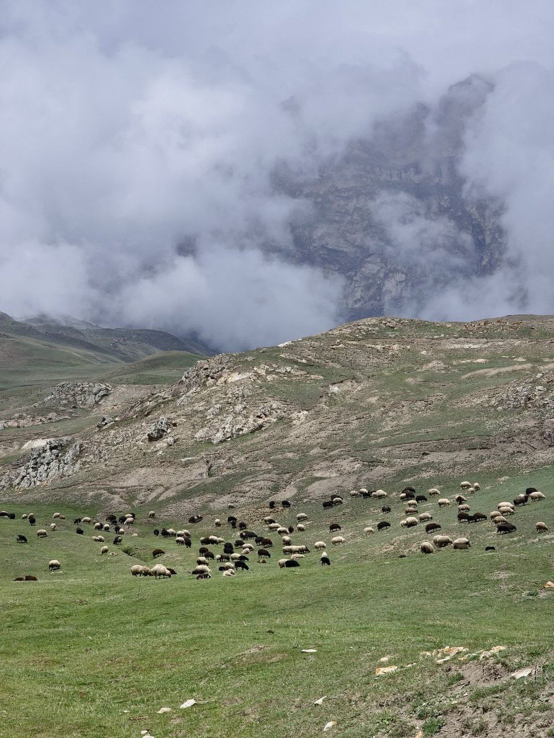 От Осетии до Дагестана. 4 дня на Кавказе. Из Владикавказа! (38/89)